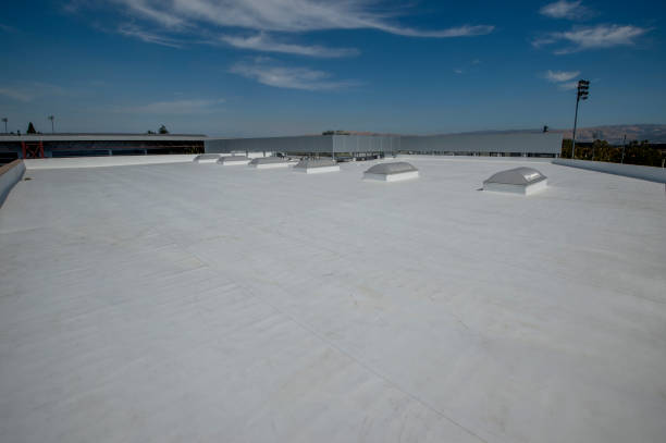 Best Roof Leak Repair  in Darby, PA