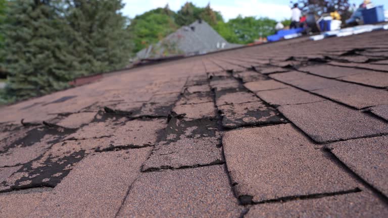 Fast & Reliable Emergency Roof Repairs in Darby, PA